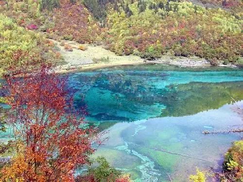 全民剧本大师内置菜单